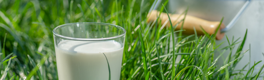 Why Supplementation Matters – And How Immuno Restore Supports Your Body